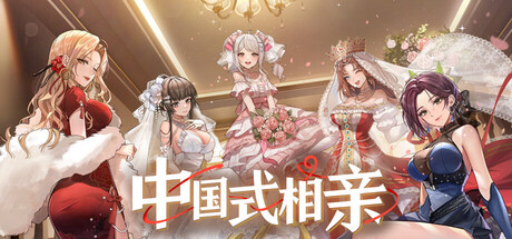 中国式相亲/Matchmaking Inc.-WJ游小窝